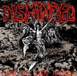 Disminded : Out of the Ashes